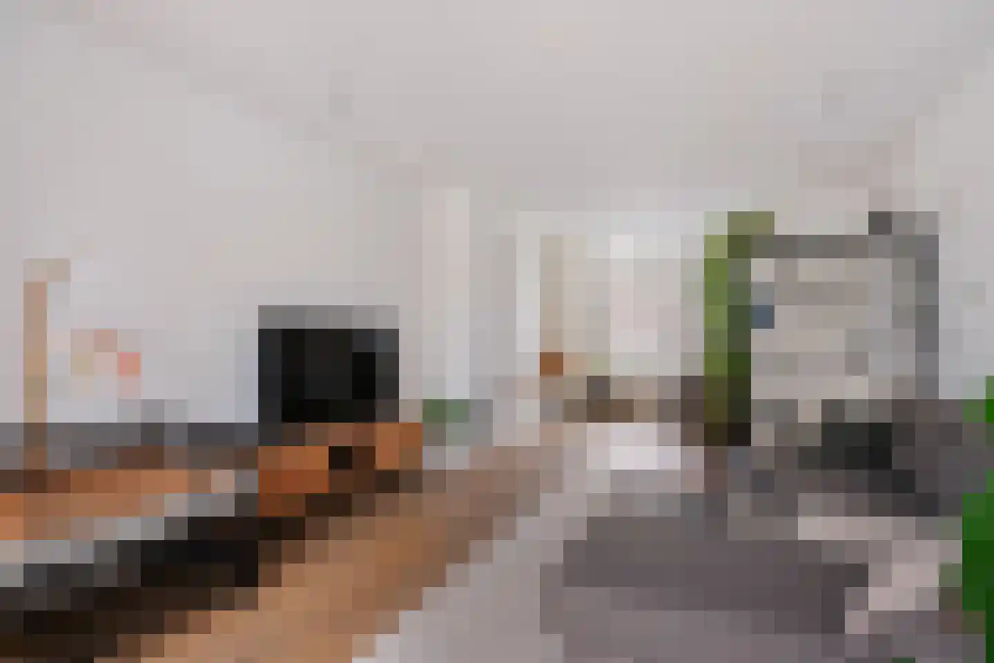 Tongelresestraat 395 Eindhoven thumbnail 14