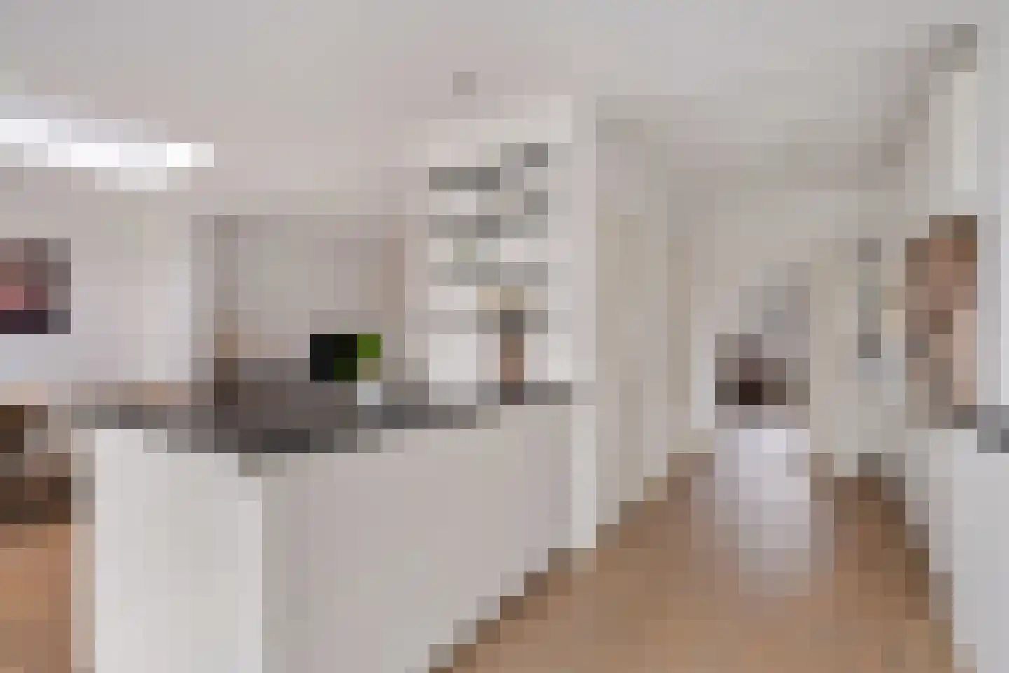 Tongelresestraat 395 Eindhoven thumbnail 19
