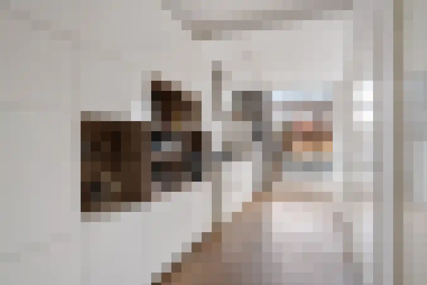 Tongelresestraat 395 Eindhoven thumbnail 22
