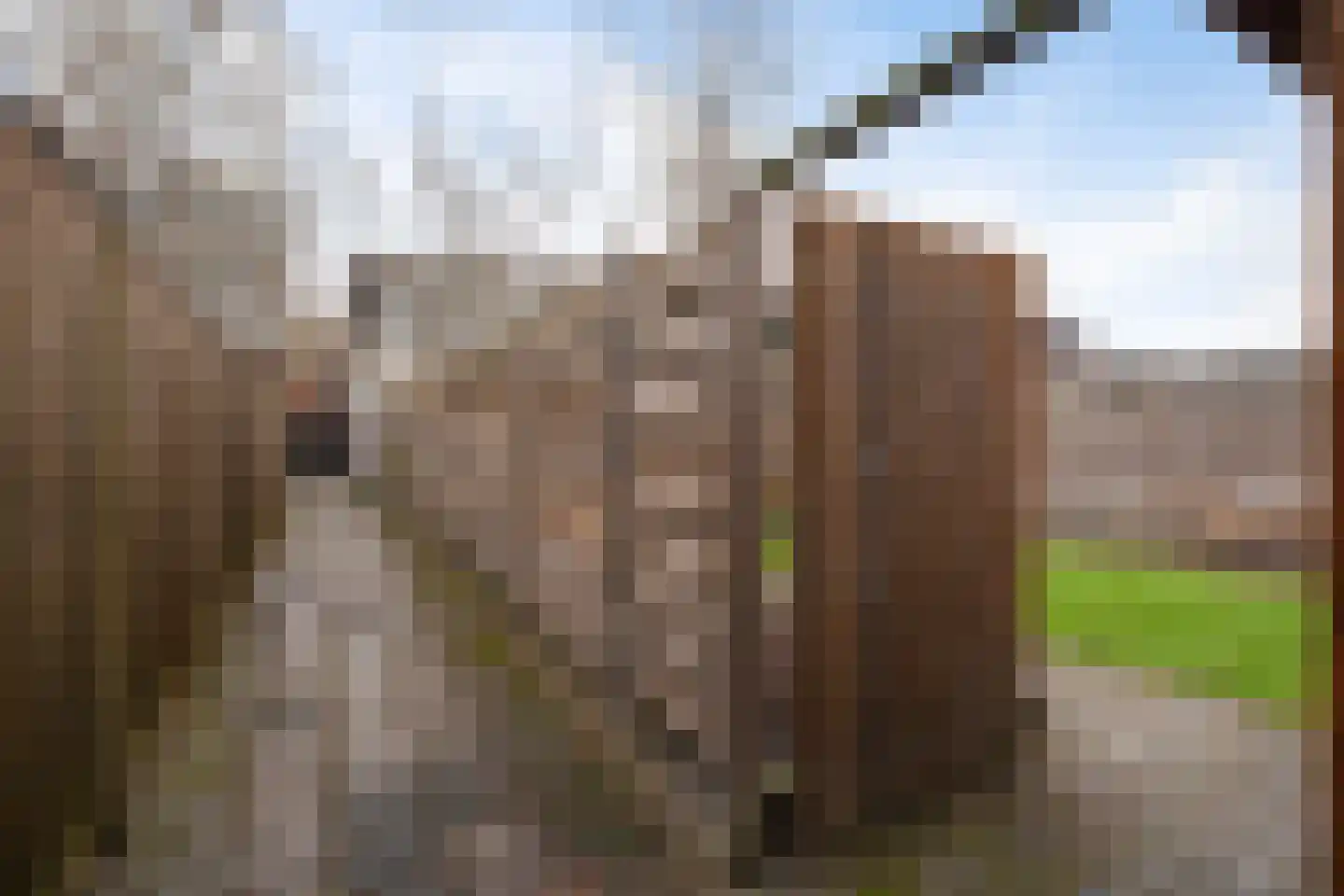Tongelresestraat 395 Eindhoven thumbnail 30