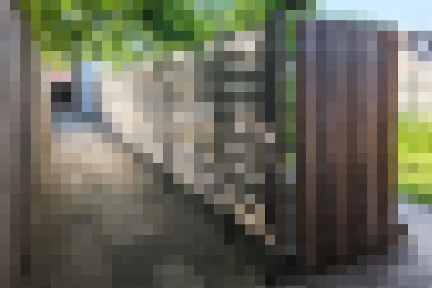Tongelresestraat 395 Eindhoven thumbnail 36