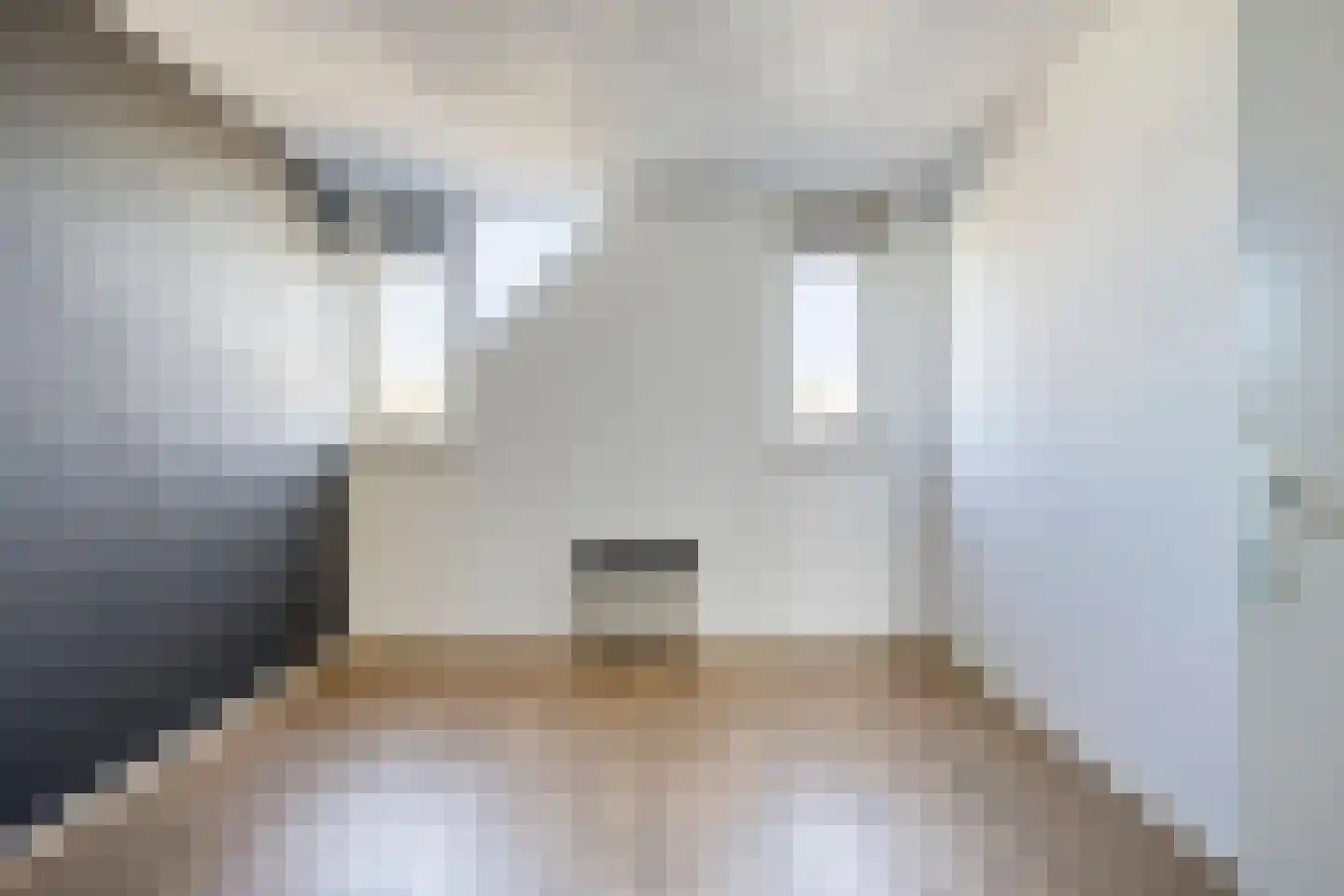 Tongelresestraat 4 F Eindhoven thumbnail 17