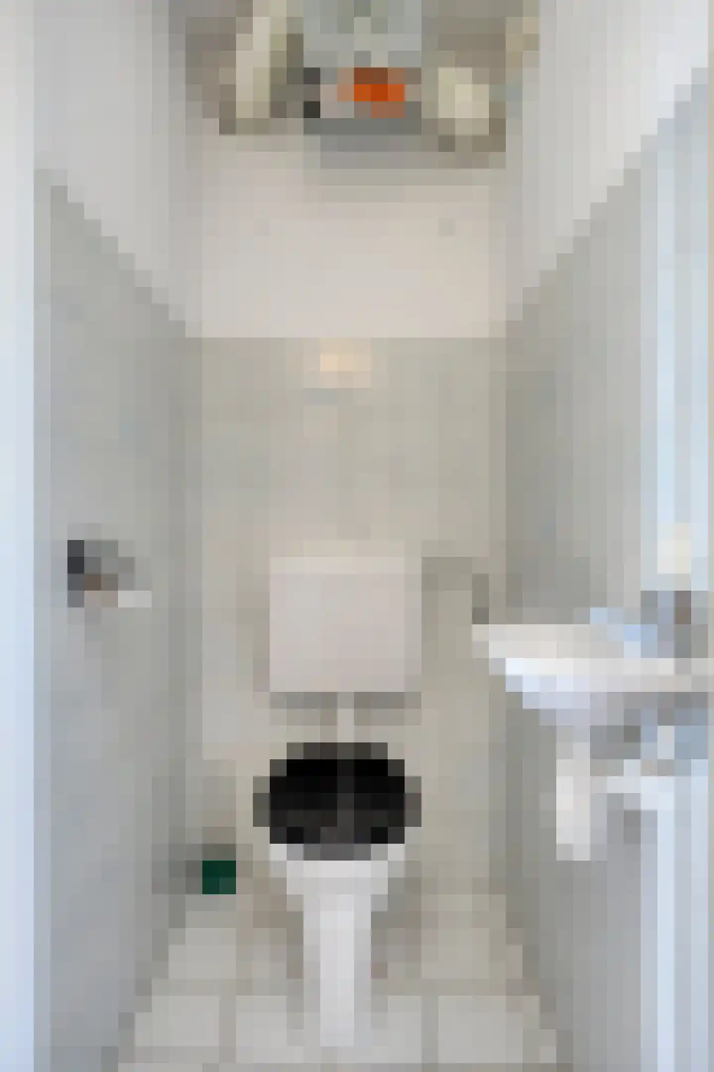 Tongelresestraat 4 F Eindhoven thumbnail 7