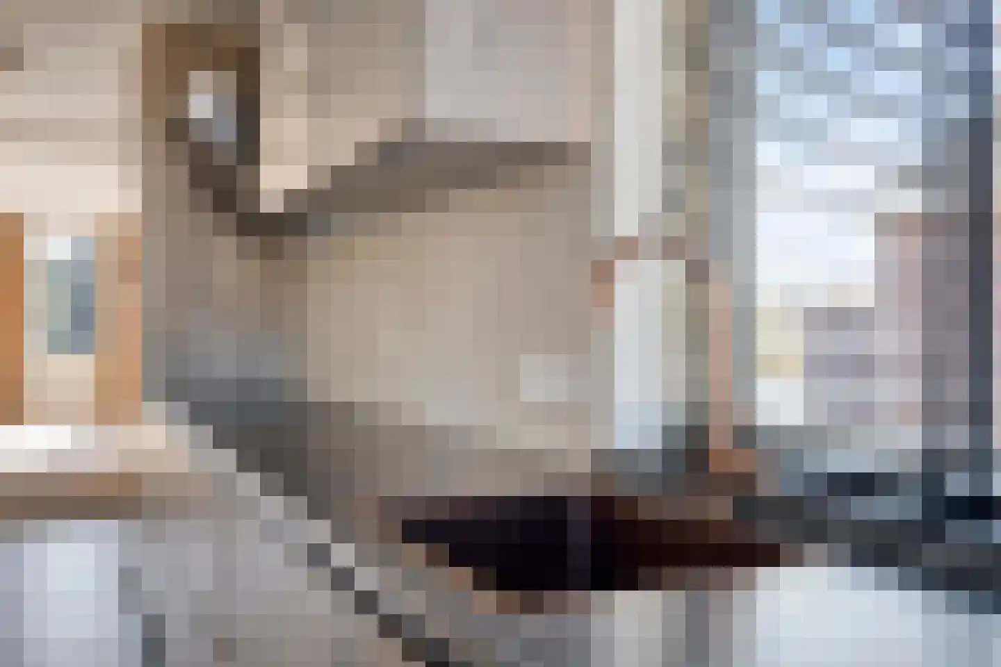 Tongelresestraat 402 A Eindhoven thumbnail 21