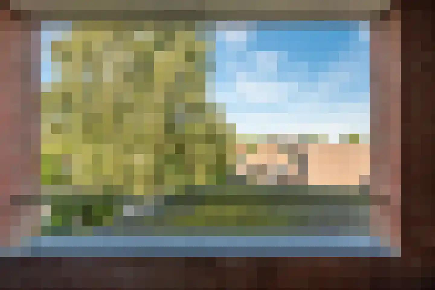 Tongelresestraat 425 A Eindhoven thumbnail 11