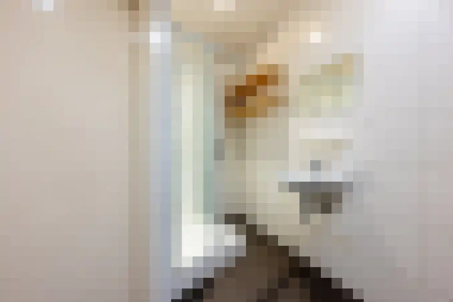 Tongelresestraat 426 Eindhoven thumbnail 16