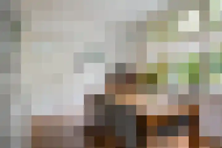 Tongelresestraat 439 Eindhoven thumbnail 11