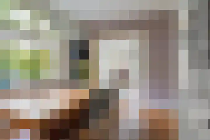 Tongelresestraat 439 Eindhoven thumbnail 12