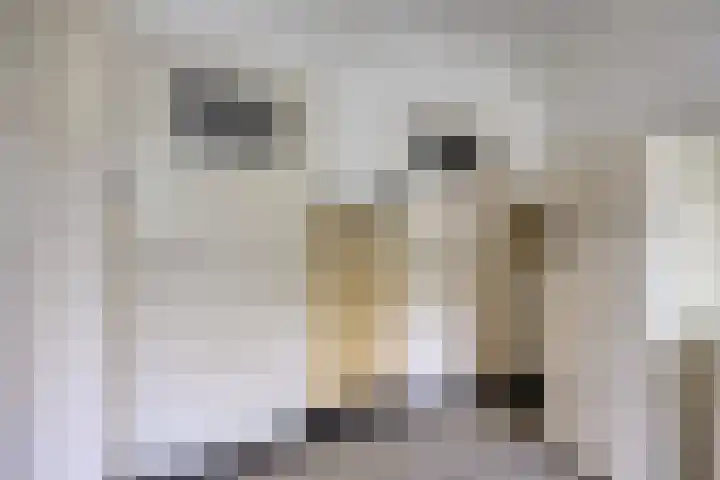 Tongelresestraat 439 Eindhoven thumbnail 16