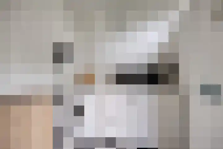 Tongelresestraat 439 Eindhoven thumbnail 19
