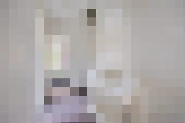 Tongelresestraat 439 Eindhoven thumbnail 22