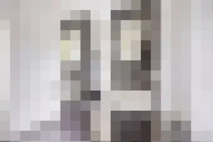 Tongelresestraat 439 Eindhoven thumbnail 27