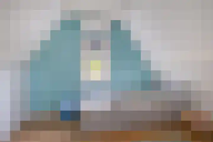 Tongelresestraat 439 Eindhoven thumbnail 36