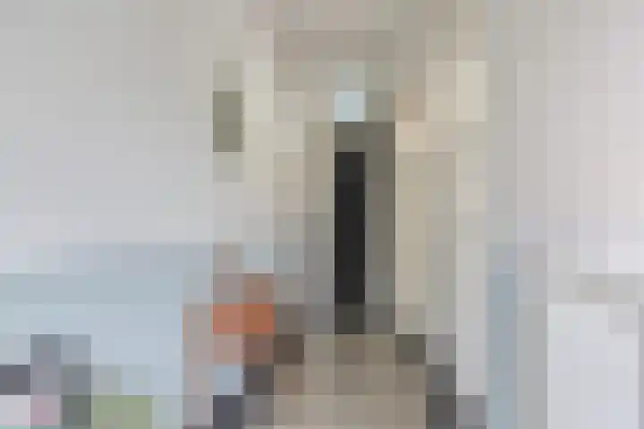 Tongelresestraat 439 Eindhoven thumbnail 4