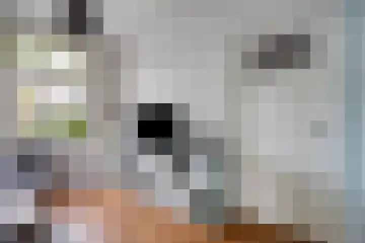 Tongelresestraat 439 Eindhoven thumbnail 7