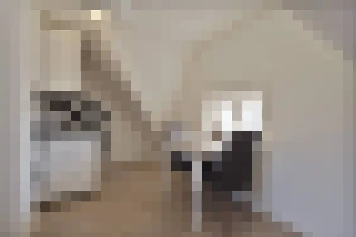Tongelresestraat 447 Eindhoven thumbnail 6