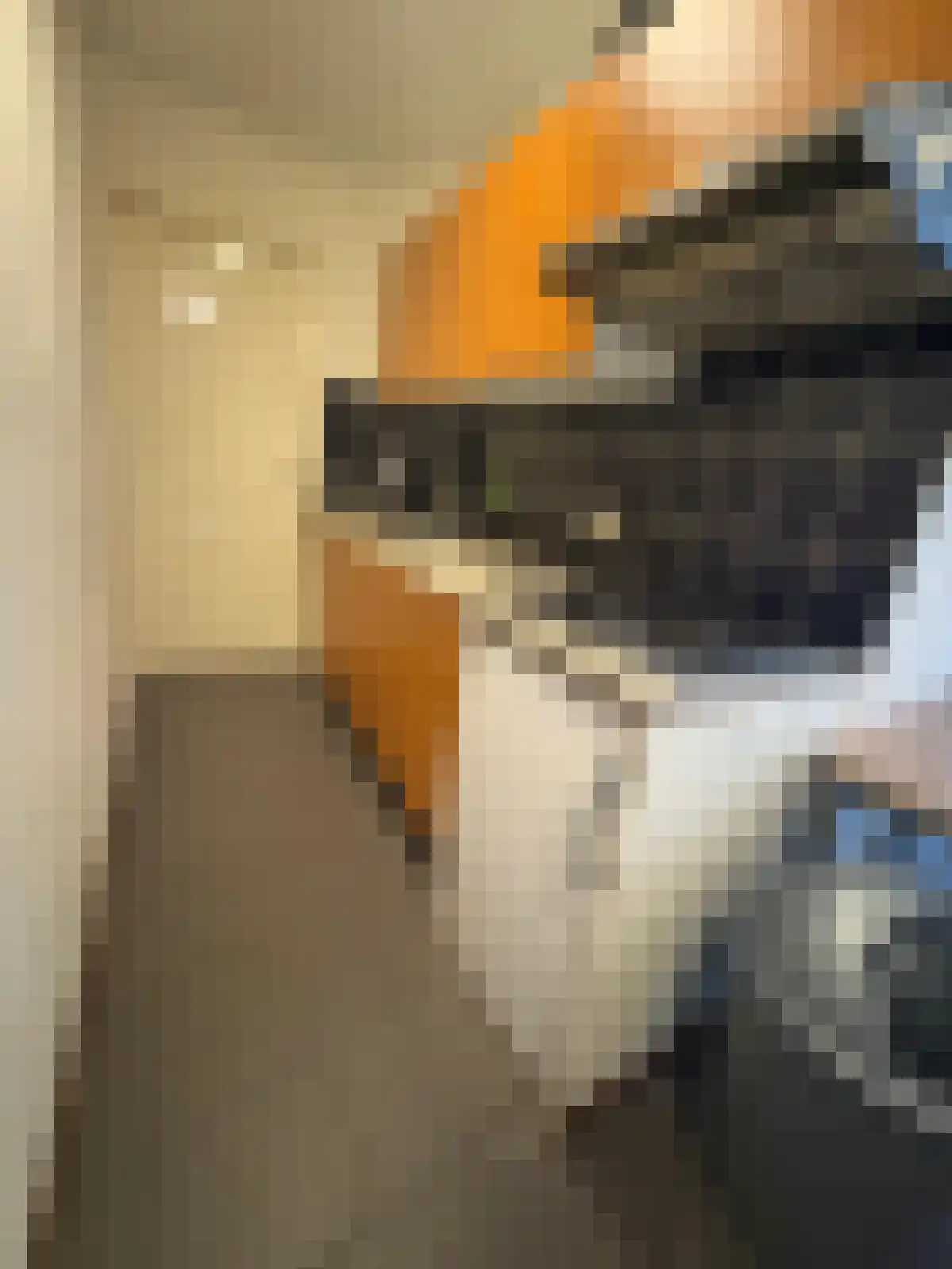 Tongelresestraat 447 Eindhoven thumbnail 6