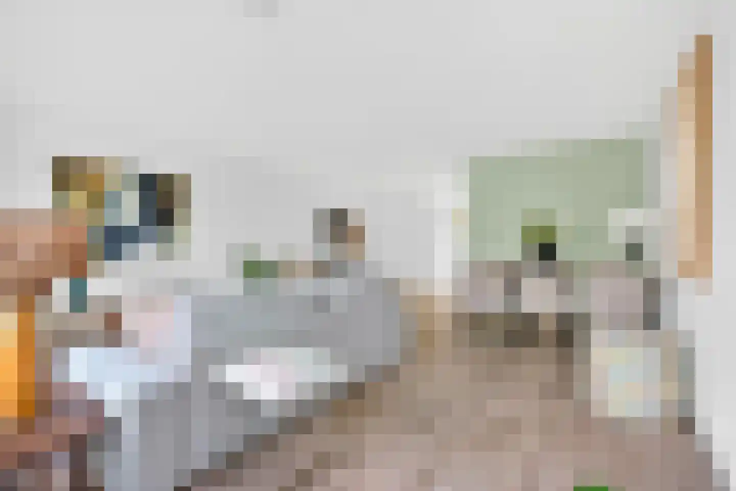 Tongelresestraat 467 Eindhoven thumbnail 11