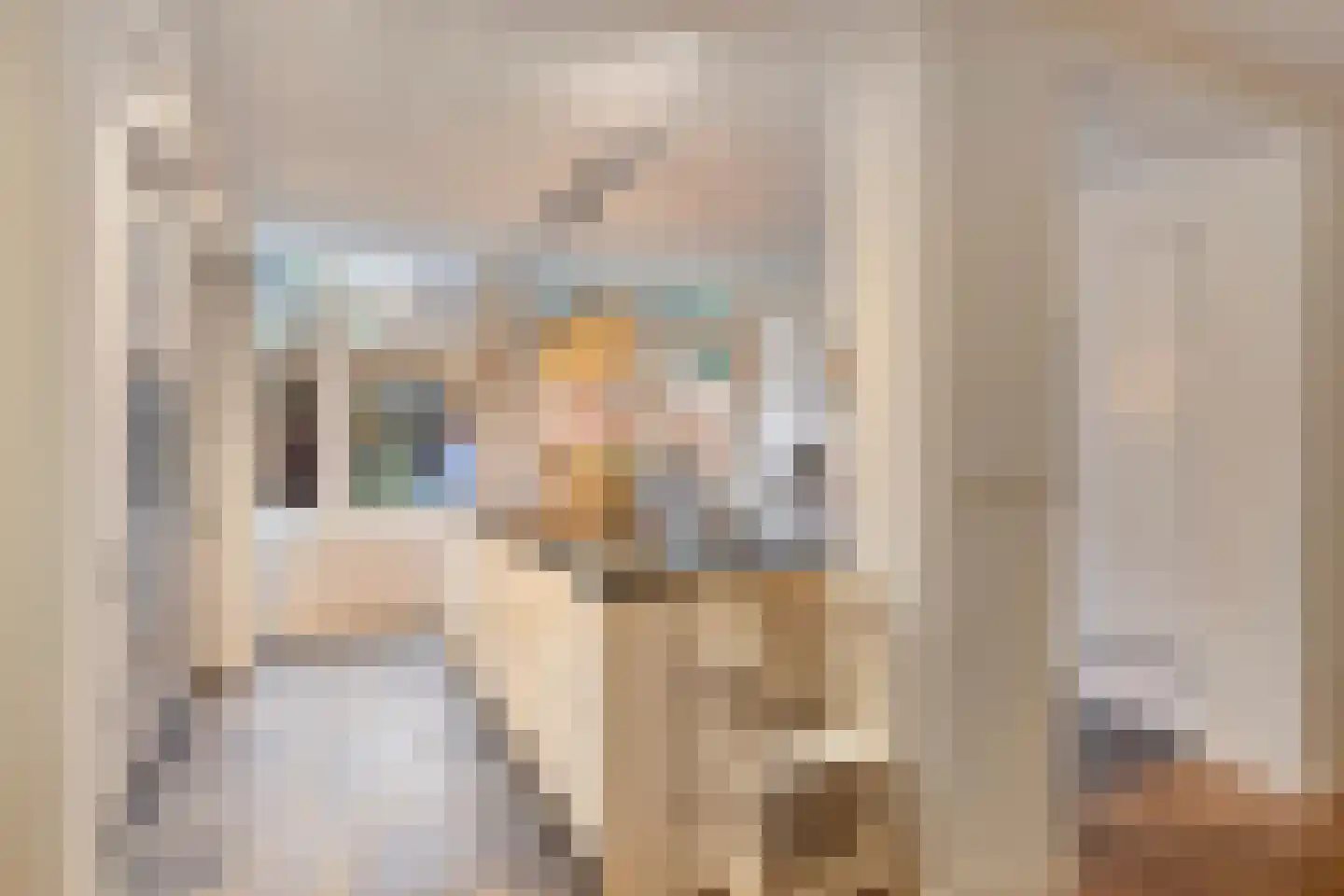 Tongelresestraat 49 Eindhoven thumbnail 12