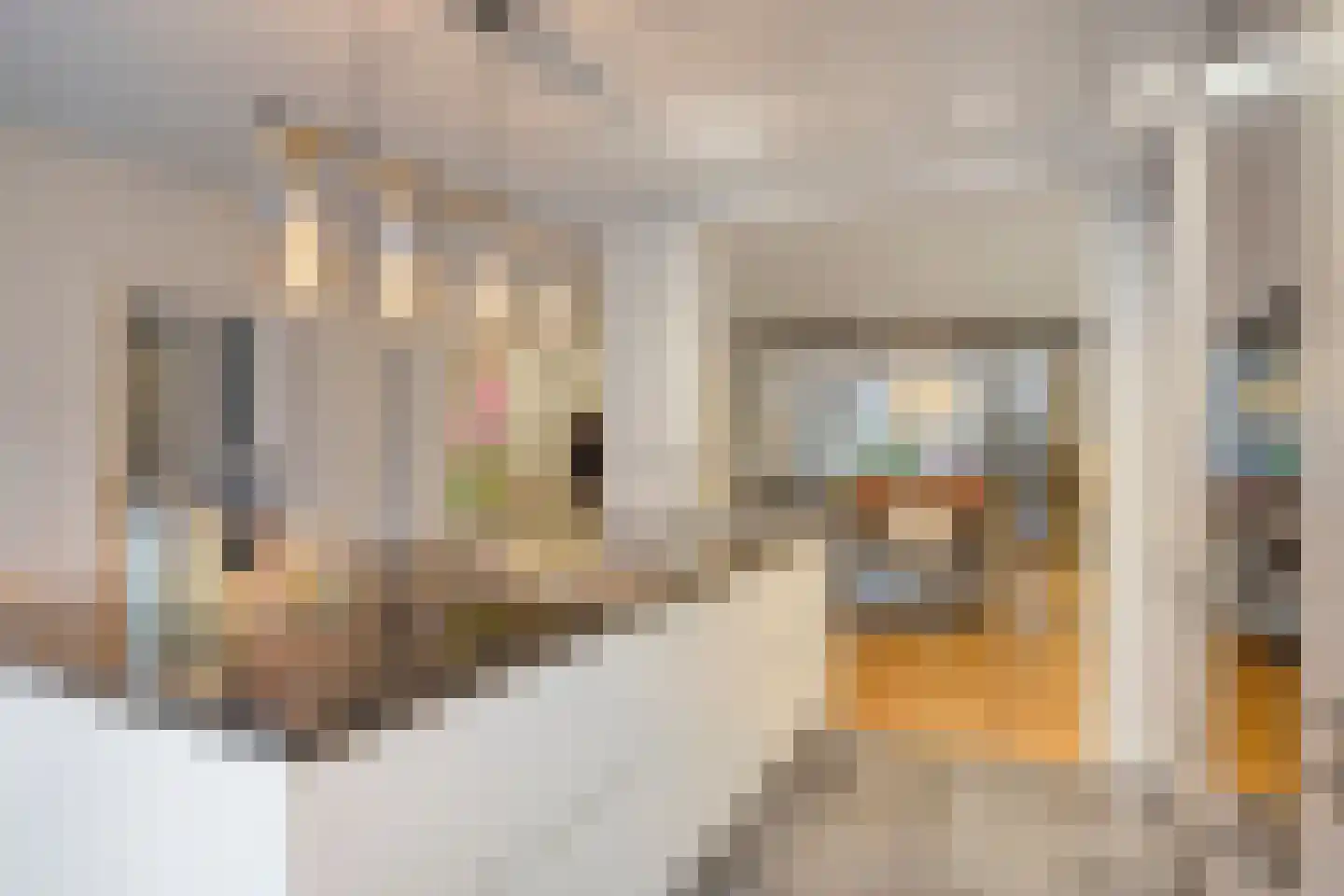 Tongelresestraat 49 Eindhoven thumbnail 13