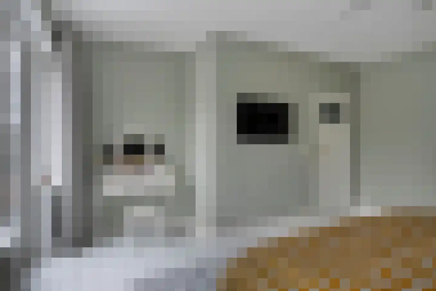 Tongelresestraat 49 Eindhoven thumbnail 19