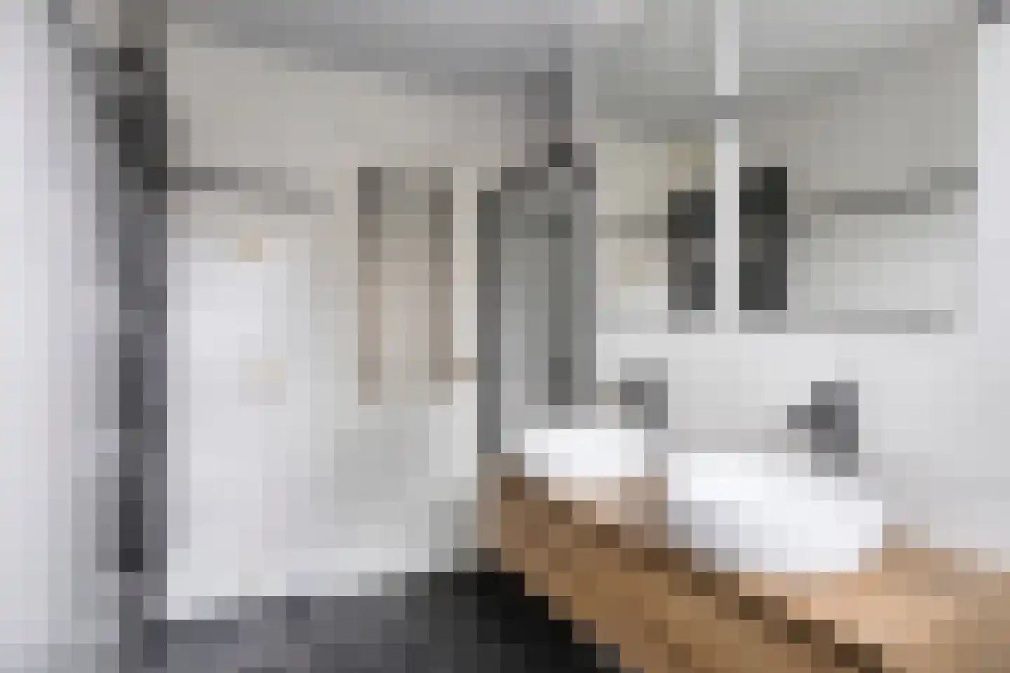 Tongelresestraat 49 Eindhoven thumbnail 22