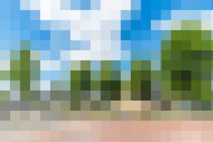 Tongelresestraat 544 A Eindhoven thumbnail 37
