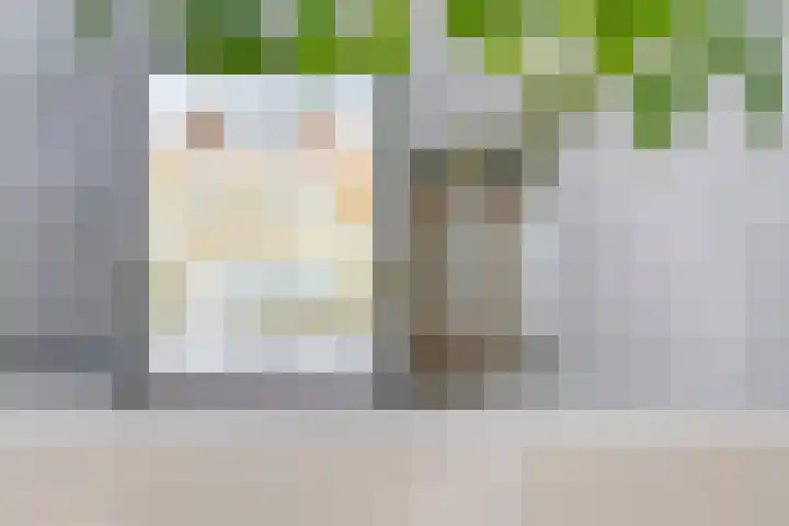 Tongelresestraat 552 Eindhoven thumbnail 23