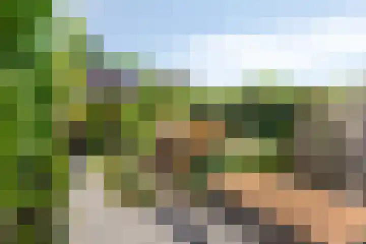Tongelresestraat 552 Eindhoven thumbnail 37
