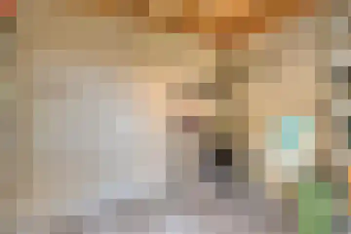 Tongelresestraat 552 Eindhoven thumbnail 41