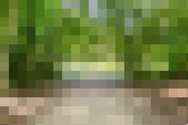 Tongelresestraat 552 Eindhoven thumbnail 43