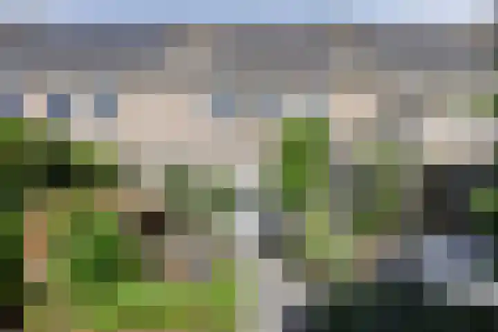 Tongelresestraat 552 Eindhoven thumbnail 5