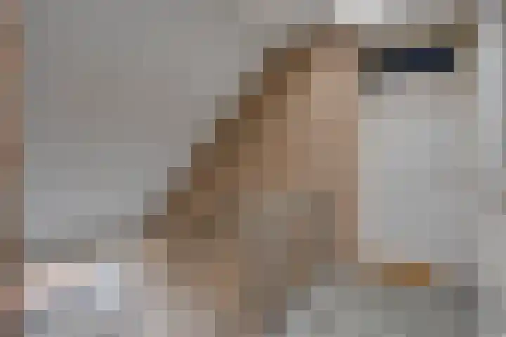 Tongelresestraat 6 G Eindhoven thumbnail 4