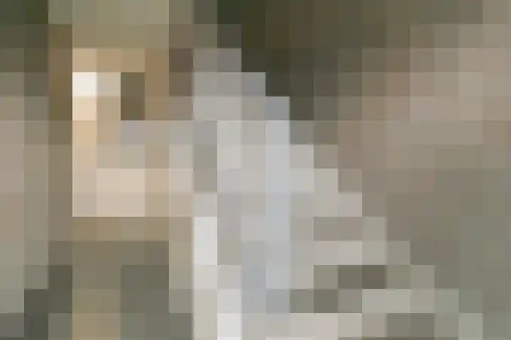 Tongelresestraat 8 G Eindhoven thumbnail 10