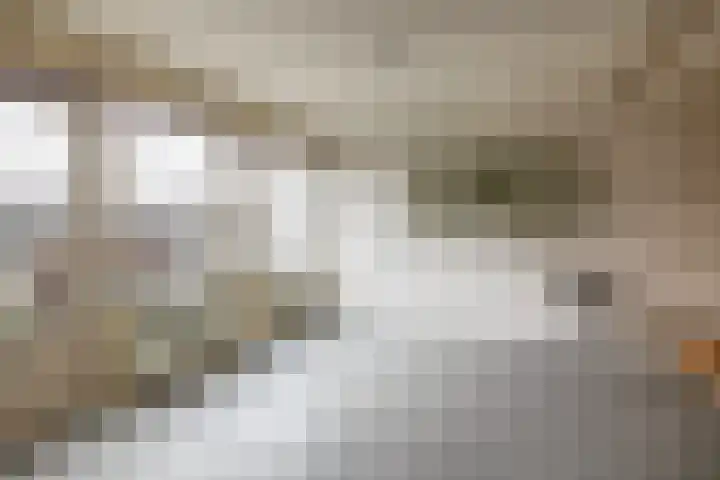 Tongelresestraat 8 G Eindhoven thumbnail 16