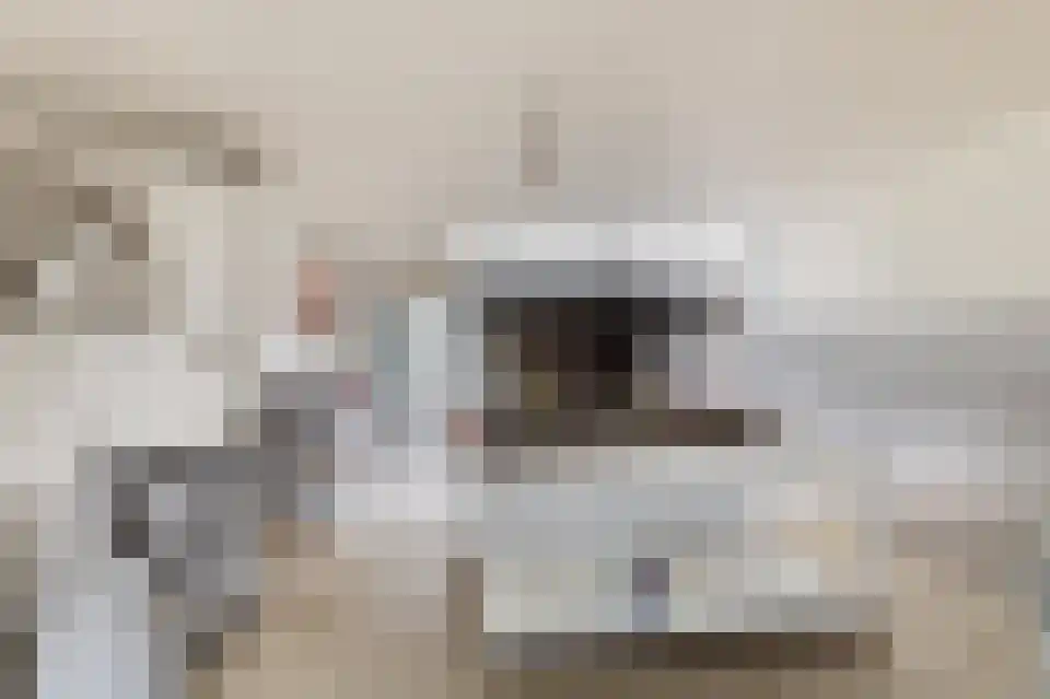 Tongeren 34 3700 Boxtel thumbnail 10