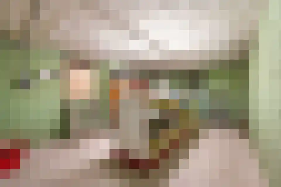 Tongeren 3700 Tongeren Boxtel thumbnail 12