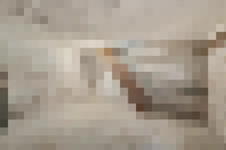 Tongeren 3700 Tongeren Boxtel thumbnail 15