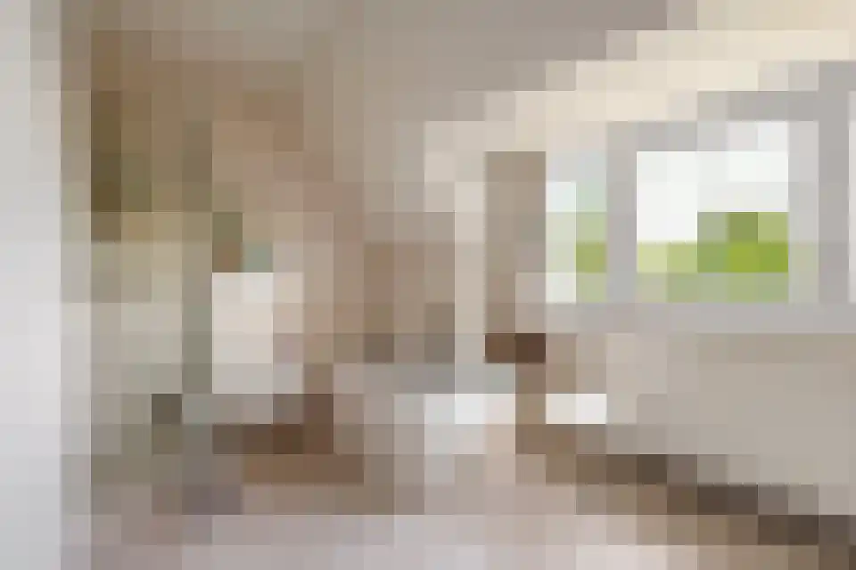 Tongeren 3700 Tongeren Boxtel thumbnail 23