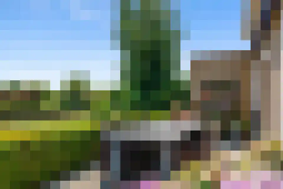 Tongeren 3700 Tongeren Boxtel thumbnail 29