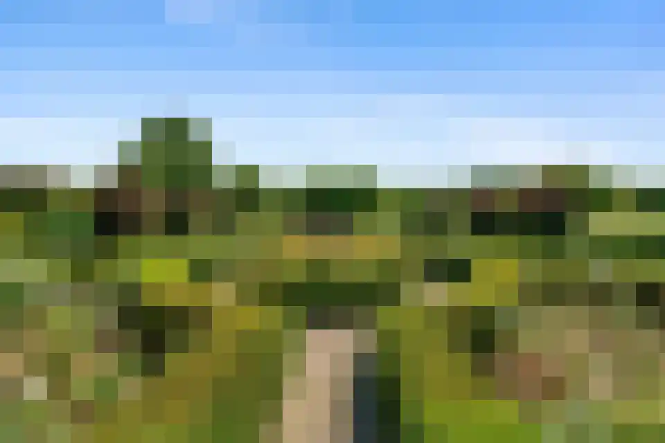 Tongeren 3700 Tongeren Boxtel thumbnail 31