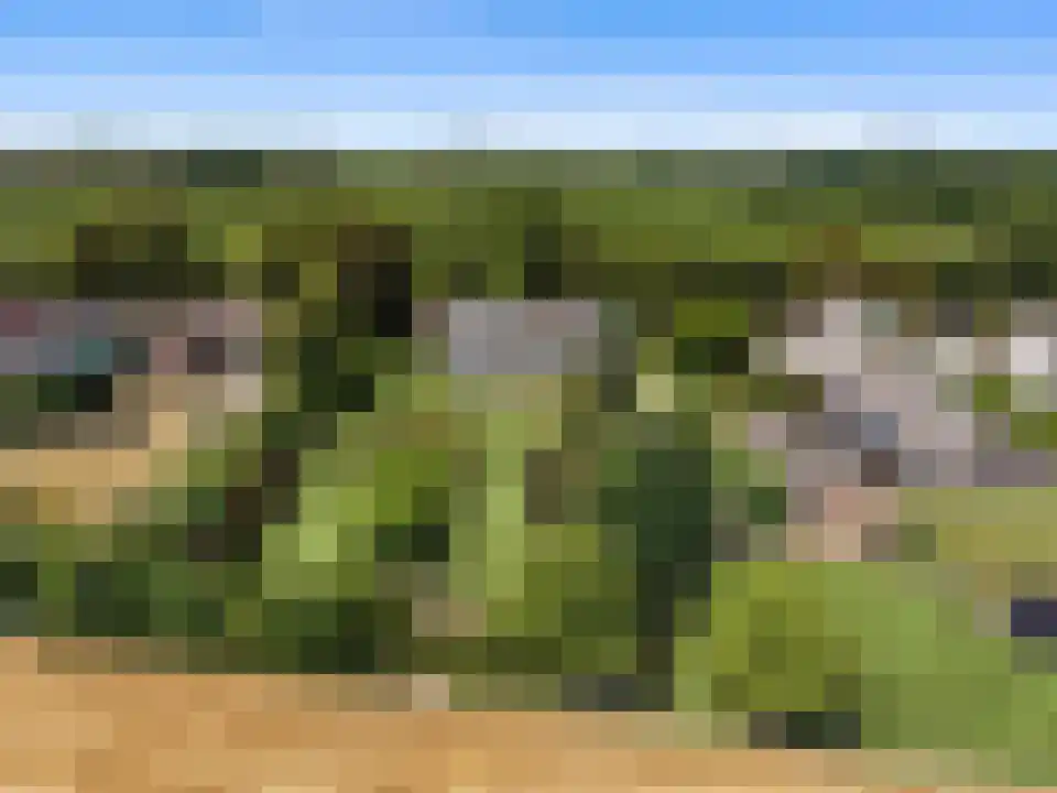 Tongeren 3700 Tongeren Boxtel thumbnail 33