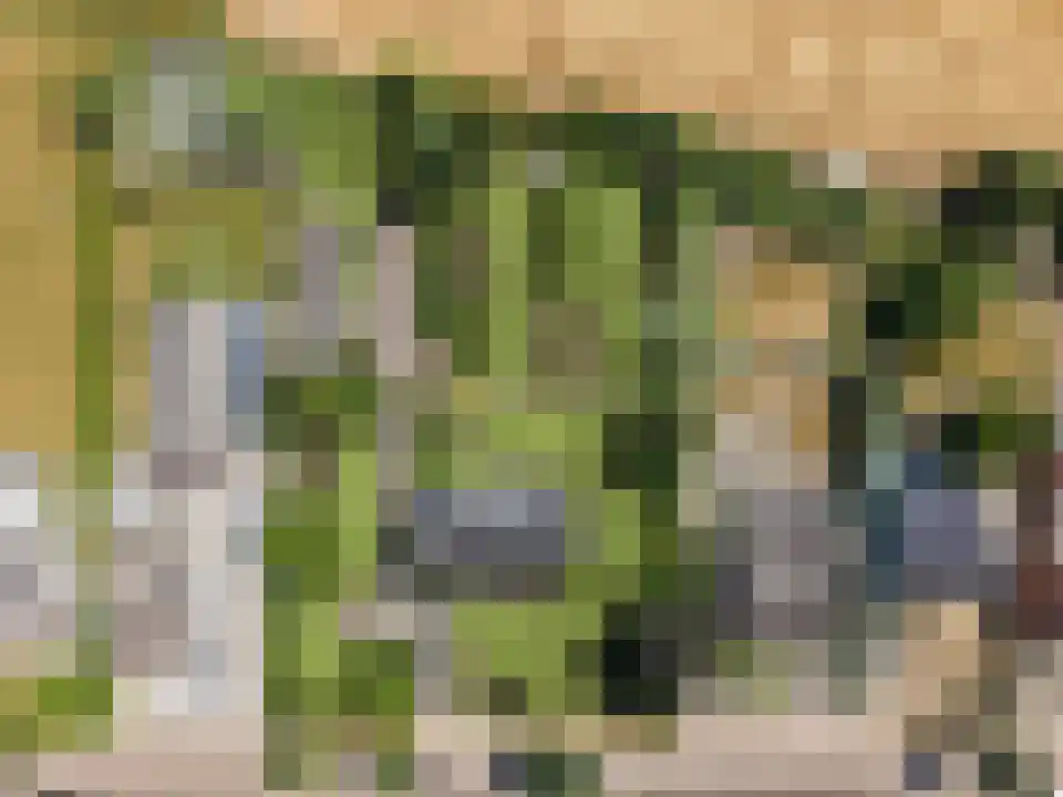 Tongeren 3700 Tongeren Boxtel thumbnail 4