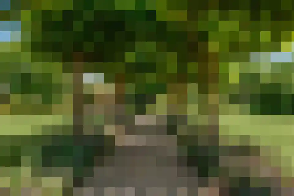 Tongeren 3700 Tongeren Boxtel thumbnail 45