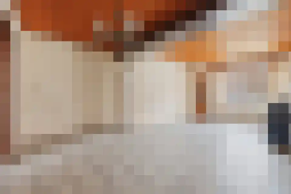 Tongeren 3700 Tongeren Boxtel thumbnail 5