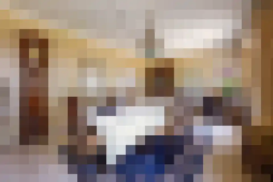 Tongeren 3700 Tongeren Boxtel thumbnail 7