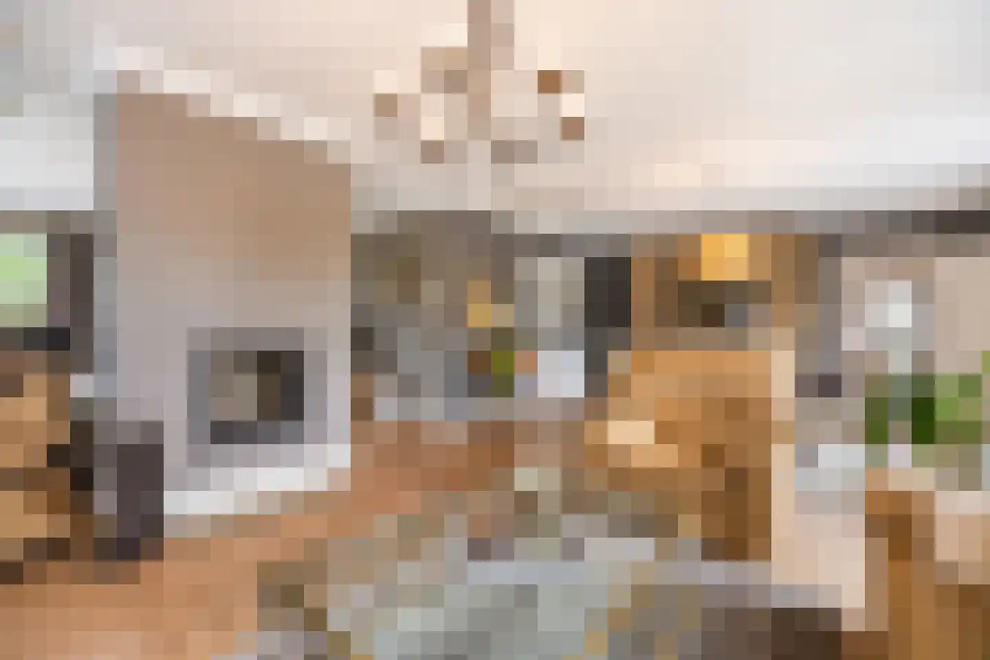 Tongeren 48 Boxtel thumbnail 8
