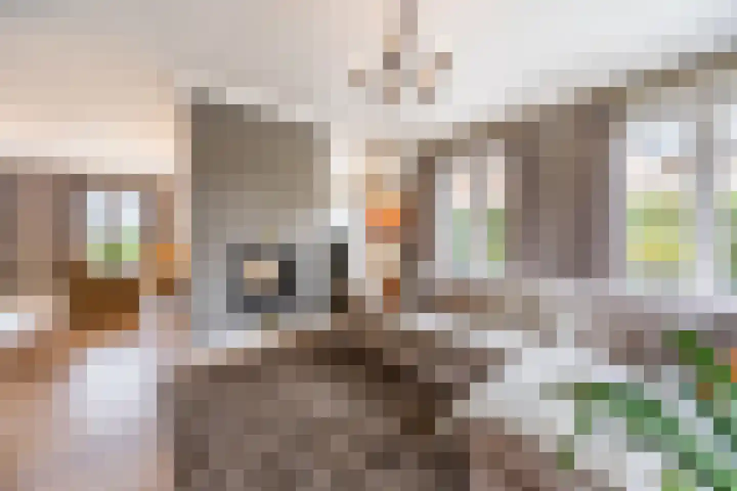 Tongeren 48 Boxtel thumbnail 9