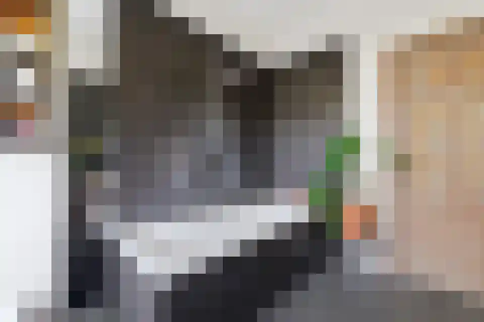 Tongeren 84 3700 Boxtel thumbnail 25