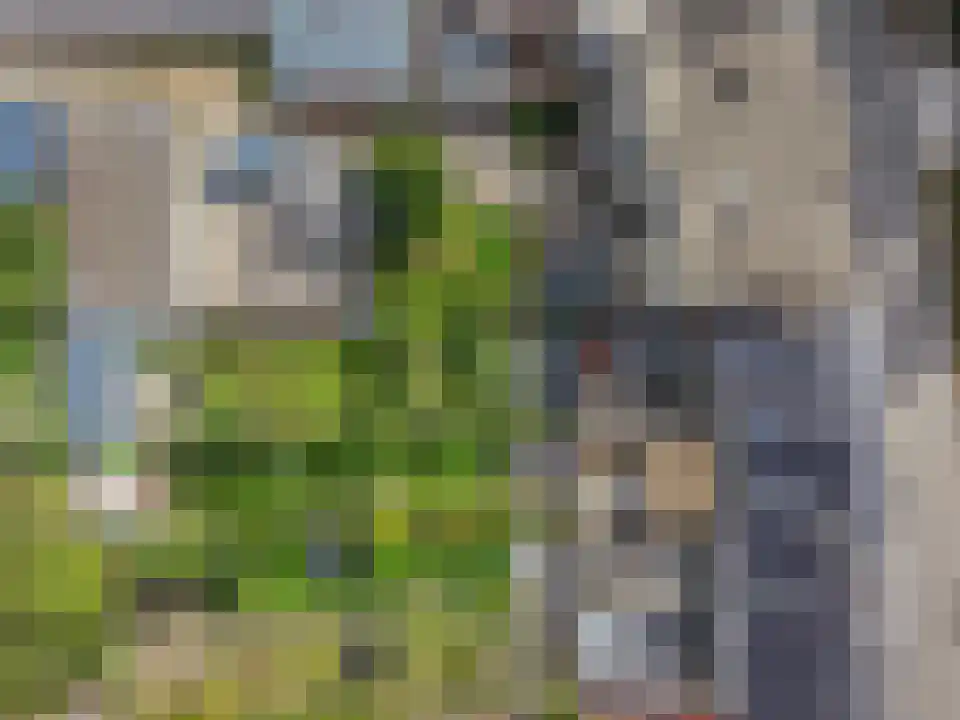 Tongeren 84 3700 Boxtel thumbnail 4